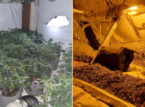 Southall Cannabis factory
