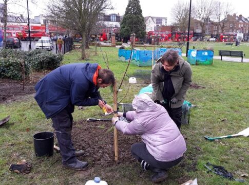Tree planting in West Ealing