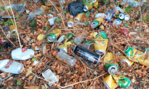 Grand Union Canal clean up