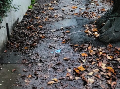 Rain and leaf sodden pavement in Ealing