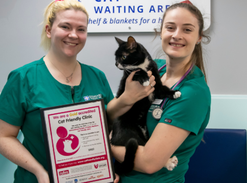 Mandeville Veterinary Hospital gets award for caring for cats
