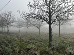 Warren Farm. Photo: EALING.NEWS