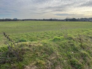 Warren Farm. Photo: EALING.NEWS