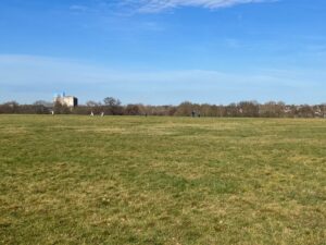 Warren Farm. Photo: EALING.NEWS