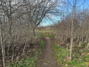 Warren Farm. Photo: EALING.NEWS