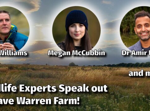 Wildlife Experts speak out to save Warren Farm