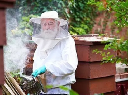 Brian Mitchison Beekeeper