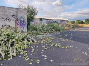 Derelict buildings and dangerous debris at Warren Farm