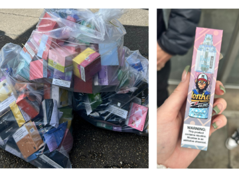 Ealing Council trading standards seize illegal vapes. Photo: Ealing Council