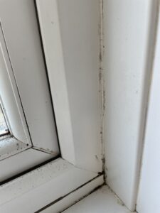 Mould at Marston Court in Hanwell