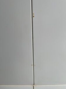 Leaks from the ceiling at Marston Court in Hanwell