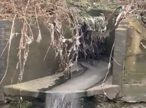 Pollution Outfall from Brent Lodge Park
