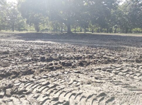 Walpole Park. Photo: Gina Leone (twitter)