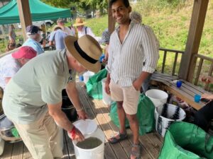 Sorting the grapes at Horsenden Grape & Honey Farm. Photo: EALING.NEWS