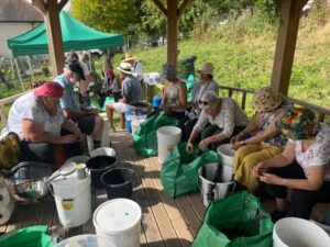 Sorting the grapes at Horsenden Grape & Honey Farm. Photo: EALING.NEWS