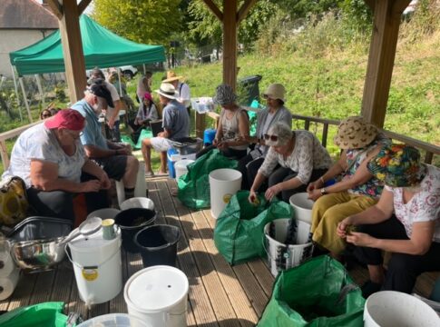 Sorting the grapes at Horsenden Grape & Honey Farm. Photo: EALING.NEWS