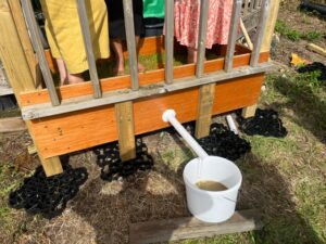Treading the grapes. Photo: EALING.NEWS