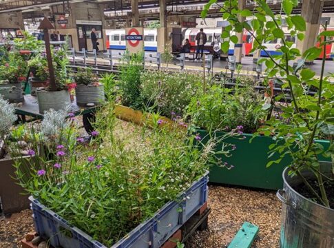 Acton Town. Photo: TfL