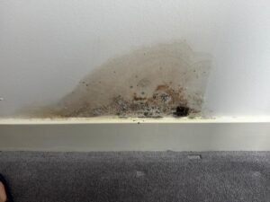 Doniford House. Photo::The Social Housing Action Campaign (SHAC)