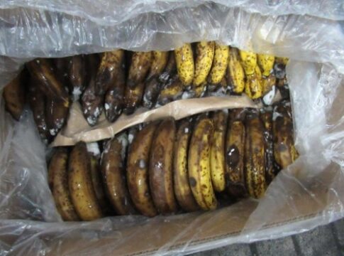 Drugs hidden within the cardboard packaging. Photo: Metropolitan Police