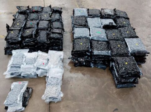 Cannabis seized at Stansted Airport. Photo: Metropolitan Police