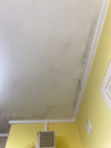 Beverley McNally damage to house