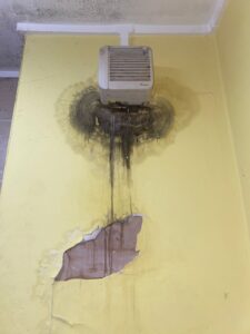Beverley McNally extractor fan with damp mould