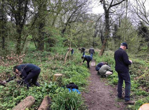 Volunteers at Grove Farm. Photo: Friends of Grove Farm