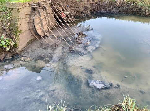 Sewage outfall into the River Brent. Photo: Brent River & Canal Society
