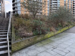 Bottles and litter in the grounds of North Acton Square. Photo: EALING.NEWS