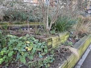 Bottles and litter in the grounds of North Acton Square. Photo: EALING.NEWS