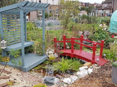 Northfields Allotment. Photo: Northfields Allotment Association