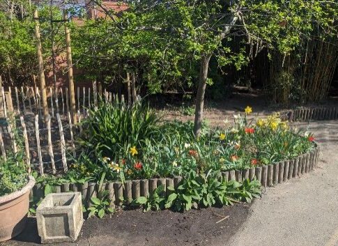 Derwentwater Primary School garden. Photo: Derwentwater Primary School