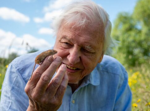 Sir David Attenborough with Harvest Mouse in Greenford. Photo: BBC / Passion Planet