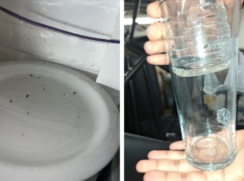 Mouse droppings found at Mendes Sheepwalk Tavern in Acton. Photo: Ealing Council