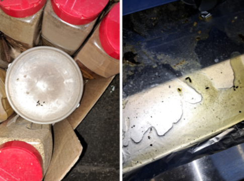 Mouse infestation at The Grosvenor pub. Photo: Ealing Council