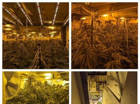 Acton cannabis factory inside former Chatsworth pub. Photo: Metropolitan Police