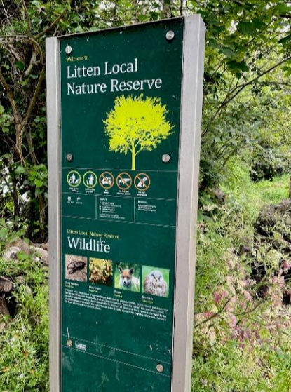 Litten Nature Reserve. Photo: Friends of the Litten Nature Reserve