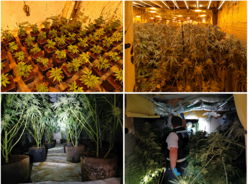 Acton cannabis factory. Photo: Metropolitan Police