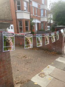 Campaign against theatre planned for Walpole Park. Photo: Save Walpole Park