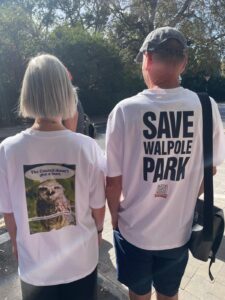Campaign against theatre planned for Walpole Park. Photo: Save Walpole Park